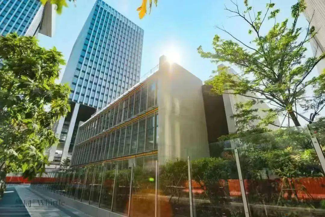 深圳哈罗天博TB,天博TB官方网站_深圳哈罗国际小学_深圳哈罗天博TB,天博TB官方网站排名